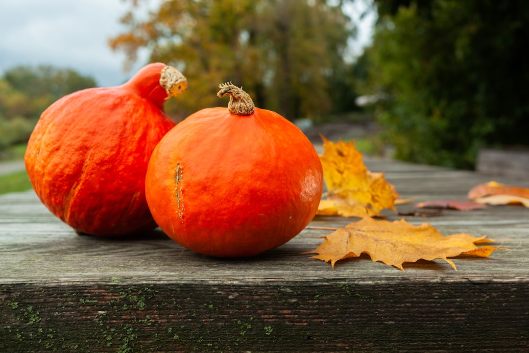 Seasonal Cooking: Harnessing the Power of Fresh Ingredients for Delicious Meals